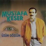 Seni Sevdim Bir Gül Gibi