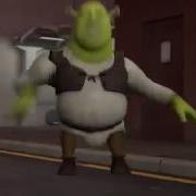 Shrek Electric Zoo