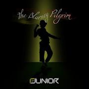 F Junior The Blarney Pilgrim Nora En Pure Remix