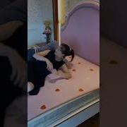 Tante Mega Genjot Bantal Guling