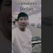 Бобой Хамид