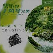 Accordeon Music Lp Vinyl Full Album