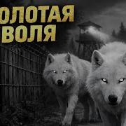 Золотая Воля
