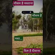 Mausam Hai Mastana