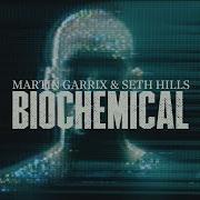 Martin Garrix Biochemical