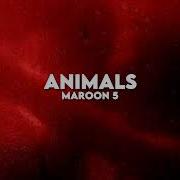 Animals Slowed