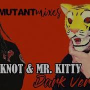Mr Kitty Remixes