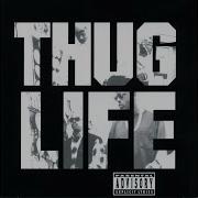 2Pac Thug Life Album