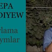 Wepa Geldiyew Saylama Turkmen Halk Aydymlar Toplumy