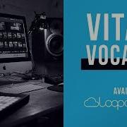 Vital Vocals Is Now Available In Loopcloud Acapella Vocal Stems Hooks