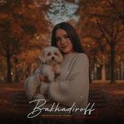 Bakhadiroff Amor Amor