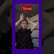 Тей Тей Тренд