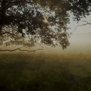Time Lapse Ringtone