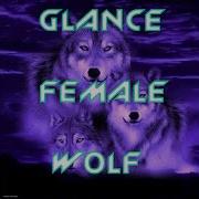 Glance Female Wolf