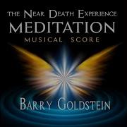The Field Barry Goldstein