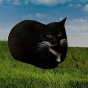 Maxwell Cat Phonk Remix 1 Час