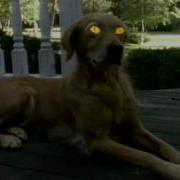 Goosebumps Theme