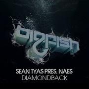 Sean Tyas Naes Diamondback