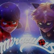 Miraculous Cat In The Night