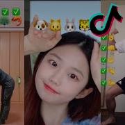 Tik Tok Emoji Challenge