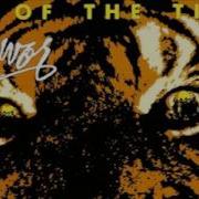 Eye Of The Tiger Минус