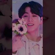 Tik Tok Jungkok Bts