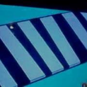 Fairly Oddparents Monkey Dutch Intro