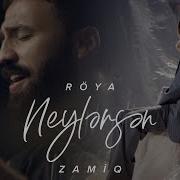 Roya Zamiq Neylersen