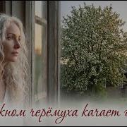 А За Окном Черёмуха Качает Головой Авторскаяпесня Шансон Лирика Ностальгия Музыкадлядуши Digital Composer