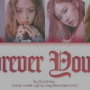 Blackpink Forever Young Jp Ver