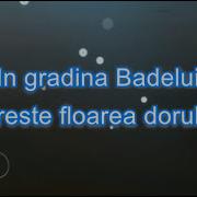 Karaoke Negative Floarea Dorului