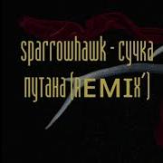 Remix Сучка Бутана