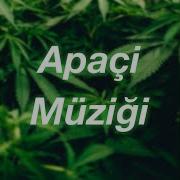 Apaci Muzigi