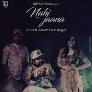 Nai Jaana Feat Ragini