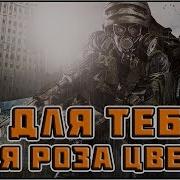 Цитаты Из Игры Metro 2033