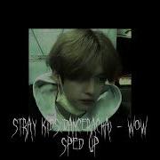 Stray Kids Wow Speed Up