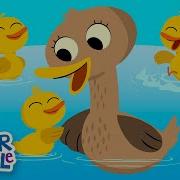 Dark Duck