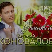 Фиалка Алая Евгений Коновалов Новинка