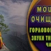 Поющие Тибетские Монахи Мощное Очищение Горловое Пение