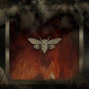 Axelax Pulsted Original Mix