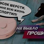 Пылесос Прикол