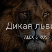 Alex Rus Дикая Львица Siowed