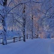 26 01 2020 Ранкове Служіння В Уц Хвє Вул Довженка 4 М Тернопіль