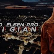 Ali Gian Elsen Pro Remix
