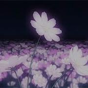 Toca Toca Slowed