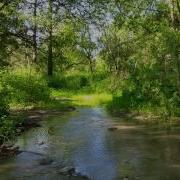 Звуки Природы Шум Реки И Лесные Птицы 2 Часа