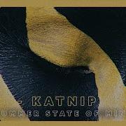 Feel The Energy Katnip