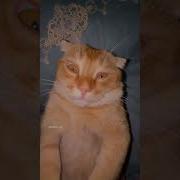 Guguli