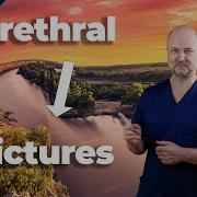 Urethral Meaning