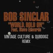 Vintage Culture World Hold On Feat Steve Edwards Vintage Culture